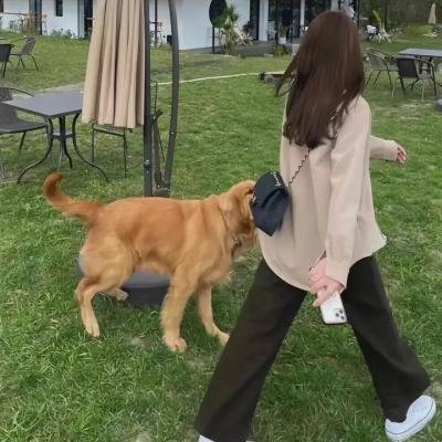 阿马尔菲:女神的报酬